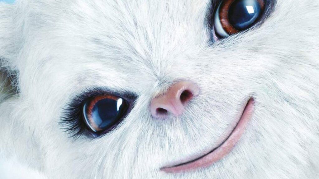 Fondo Película