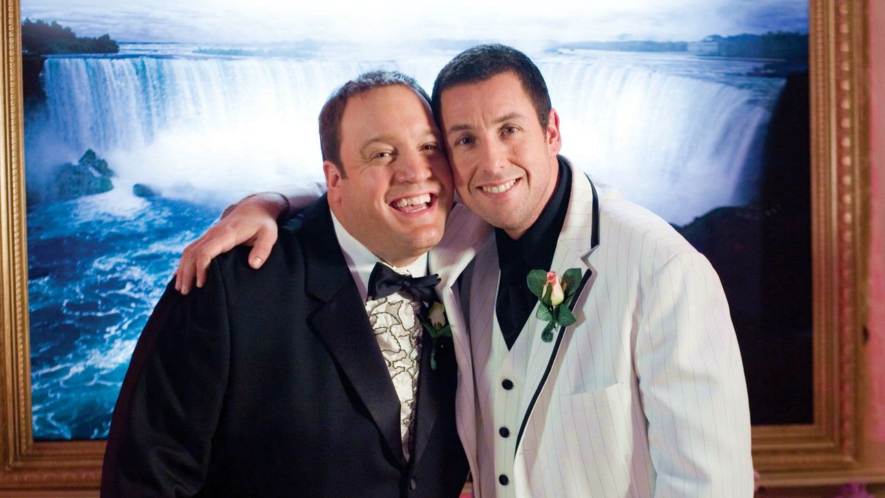 YO LOS DECLARO MARIDO Y LARRY